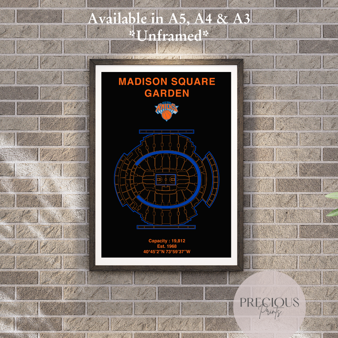 New York Knicks Basketball Stadium Poster / American Baskell Poster