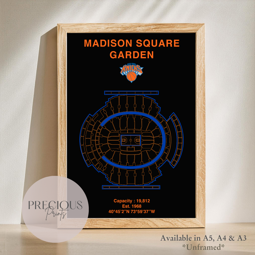 New York Knicks Basketball Stadium Poster / American Baskell Poster