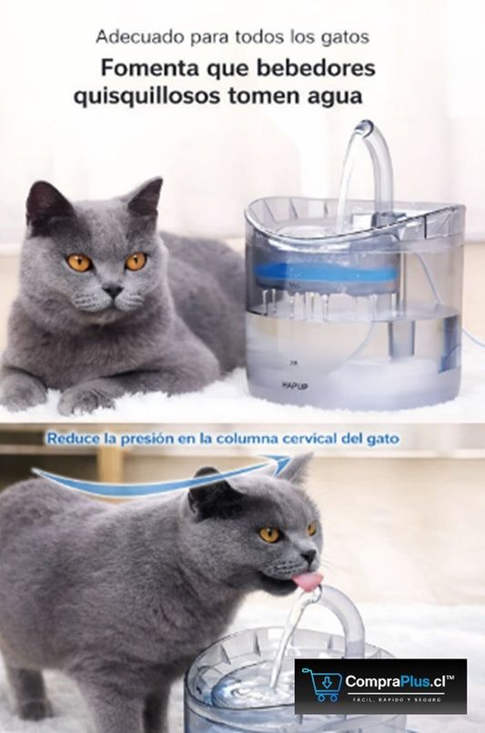 Red & Pink Ticket Preppy Print